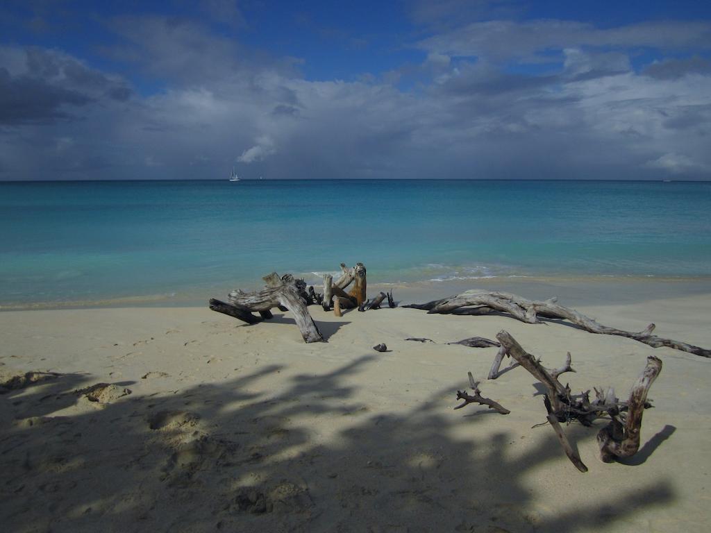 Antigua Chiama Italia Villas Jolly Harbour Pokoj fotografie